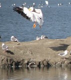 by Mahesh Siddappa