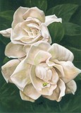 by Barbara Keith