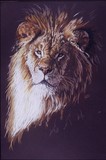by Barbara Keith