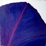 by roullet françoise
