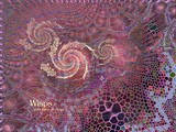 by Minnie Shuler