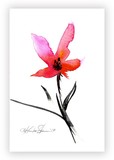 by Kathy Morton-Stanion
