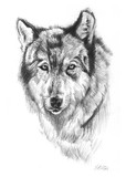 by Stephanie Kirton