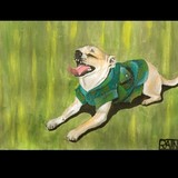 by Rainy Buckel