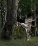by Joan Lyle