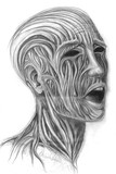 by Gal Angelo Disegni