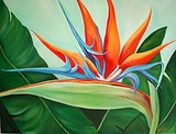 by Jacklyn Balestrino