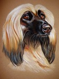 by Adele  Beverley