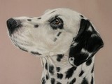 by Sue Clinker