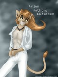 by Meri Pitkänen