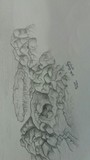 by John  Aviles
