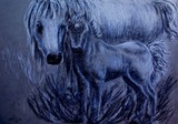 by elizabeth clausen