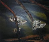 by Maria Amador