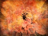 by Rhonda Barrett