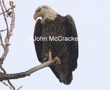 by John McCracken