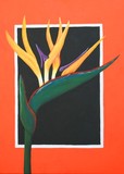 by Sharon Simmons
