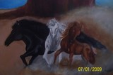by Terry Dunn