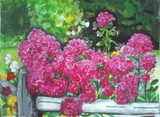 by Dorcas Otis