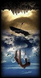 by Alex R