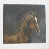 by Nora Begona