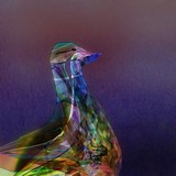 by Helmut Licht