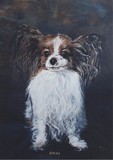 by Bonnie Sieben