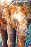 by Judith Bicking
