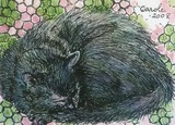 by Carole Chapla