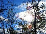 by Mary Burr