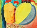 by mary ann coonrod
