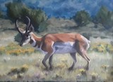 by JAN GREEN