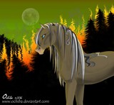by Brooke Edwards