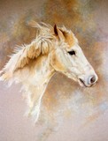 by Amanda Roussos