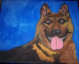 by nicole nappi