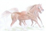by Claudia Luethi alias Abdelghafar