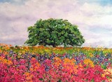 by Bill Bosler