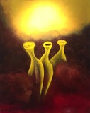 by Jure CEKUTA