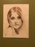 by Shadi Salehi