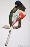 by STANTON ALLABEN