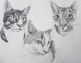 by Karlina Bacchus