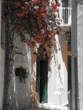 by Aron Tanti