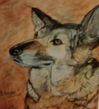 by Dawn Moir-Harris 