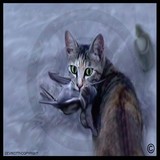 by ONIVED T 7H