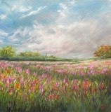 by Carrie Paquette