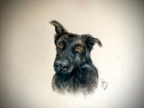 by Autumn Longwell
