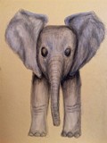 by Nicole Porter