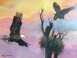 by Mary Claire Roe