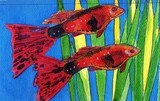 by Sandi Traver