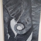 by Shannon Noren