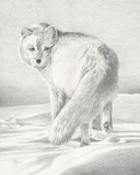 by John Houle